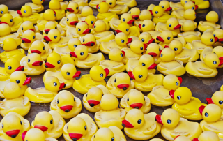 duck race